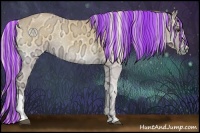 Horse Color:Painted Silver Buckskin Ice Roan Onyx 