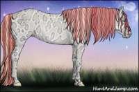 Horse Color:Painted Perlino Ice Roan Onyx 
