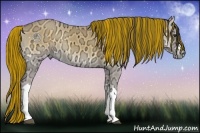 Horse Color:Painted Buckskin Ice Onyx 