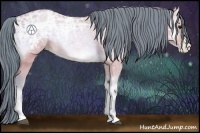 Horse Color:Watercolor Bay Ice Pearl Onyx 