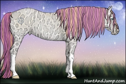 Horse Color:Painted Buckskin Ice Roan Pearl Onyx 