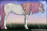 Horse Color:Painted Buckskin Ice Roan Pearl Onyx 