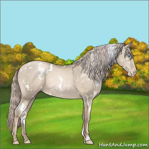Horse Color:White Spotted Chocolate Palomino Pearl Rabicano