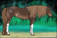 Horse Color:Liver Chestnut 