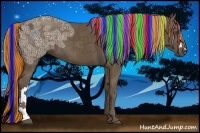 Horse Color:Painted Chocolate Palomino Ice 