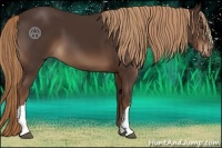 Horse Color:Liver Chestnut