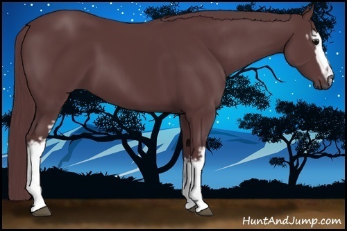 Horse Color:White Spotted Chocolate Black