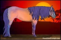 Horse Color:Watercolor Brown