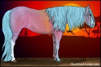 Horse Color:Watercolor Brown 