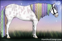 Horse Color:Painted Watercolor Cremello Dun Splash Appaloosa