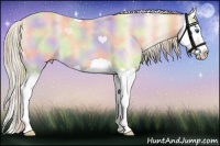 Horse Color:Nacre Perlino Splash 