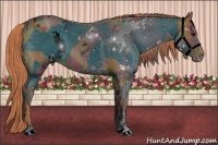 Horse Color:ERROR: UNKNOWN ANOMALY and ERROR: UNKNOWN ANOMALY