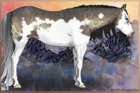 Horse Color:Gray Bay Ice Onyx Splash Frame