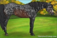 Horse Color:Brown Ice 