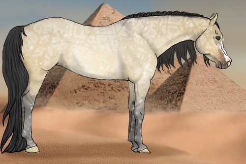 Horse Color:Buckskin Ice Dun Rabicano 