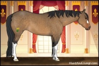 Horse Color:Brown Dun
