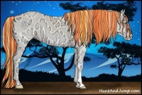 Horse Color:Painted Perlino Ice Onyx 