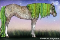 Horse Color:Painted Buckskin Ice Onyx 