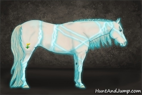 Horse Color:Thunderstruck Smoky Creme Rabicano 