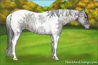 Horse Color:Brown Ice Onyx Tobiano 