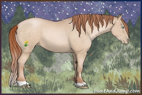 Horse Color:Buckskin Pearl 