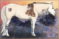 Horse Color:Bay Splash Appaloosa Rabicano and Silver Amber Champagne Dun Splash Rabicano