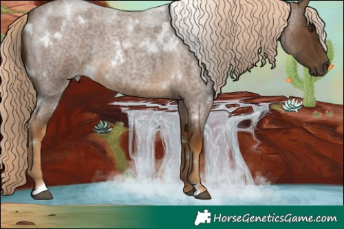 Horse Color:White Spotted Chocolate Palomino Roan