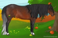 Horse Color:Brown 
