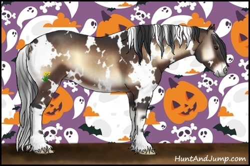 Horse Color:White Spotted Bay Onyx