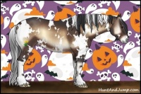 Horse Color:White Spotted Bay Onyx