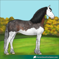 Horse Color:Brown Splash 