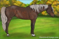 Horse Color:Silver Brown 