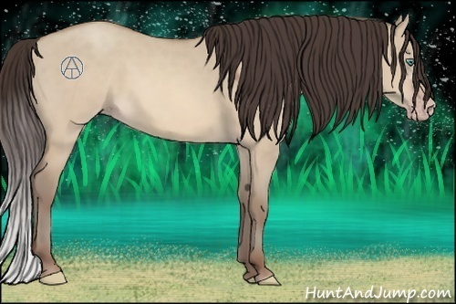 Horse Color:Sable Cream Champagne Dun 