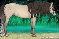 Horse Color:Sable Cream Champagne Dun