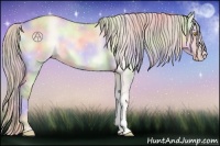 Horse Color:Nacre Silver Sable Champagne Onyx