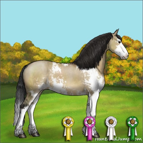 Horse Color:Brown Dun Sabino Splash 
