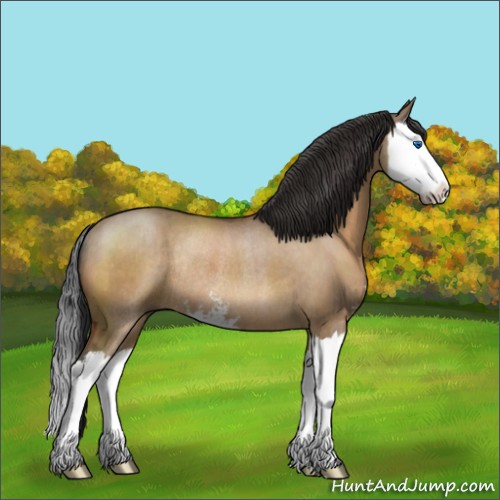 Horse Color:Unknown 