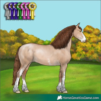 Horse Color:Unknown 