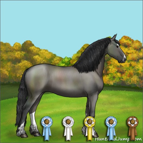 Horse Color:Grullo Sabino 