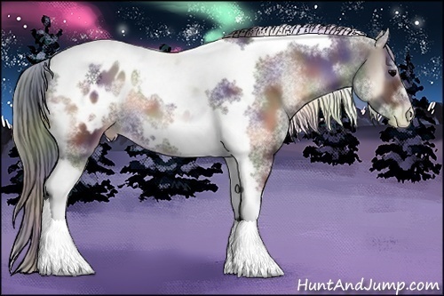 Horse Color:Nacre White Spotted Blue Onyx Splash Tobiano Frame Appaloosa 