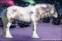 Horse Color:Nacre White Spotted Blue Onyx Splash Tobiano Frame Blanket 