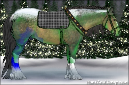 Horse Color:Chocolate Buckskin 