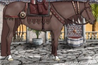 Horse Color:Chocolate Black