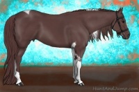 Horse Color:Chocolate Black Tobiano 