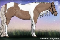 Horse Color:Chocolate Silver Smoky Black Tobiano 