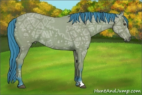 Horse Color:Watercolor Buckskin Ice Roan 