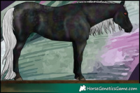 Horse Color:Midnight Silver Black Chinchilla Ice