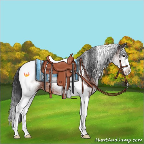Horse Color:White Spotted Brown Splash Tobiano 