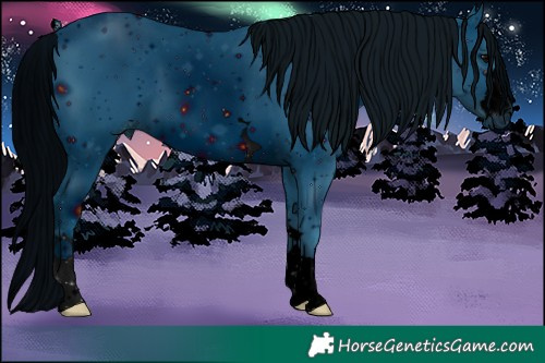 Horse Color:ERROR: UNKNOWN ANOMALY