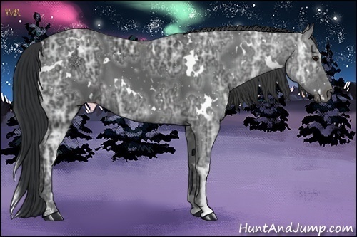 Horse Color:White Spotted Black Ice Sabino 